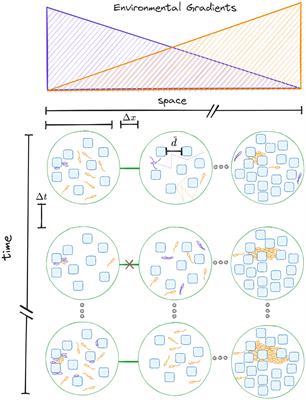 Editorial: Spatial ecology of cells living in micro-structured environments